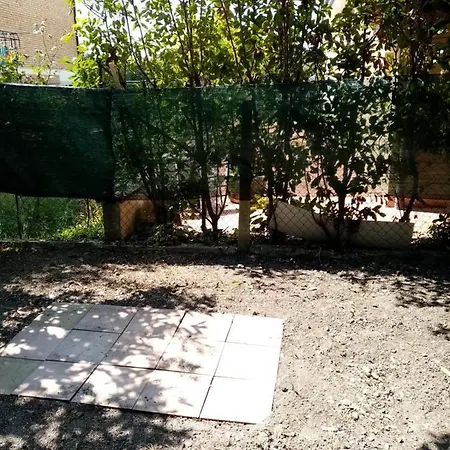 Panoramica Su *